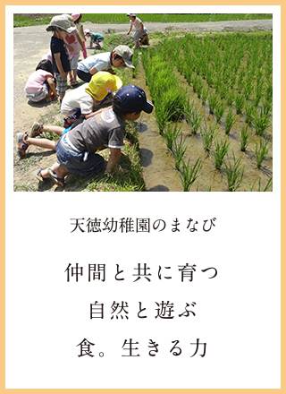 天徳幼稚園のまなび　仲間と共に育つ　自然と遊ぶ　食。生きる力